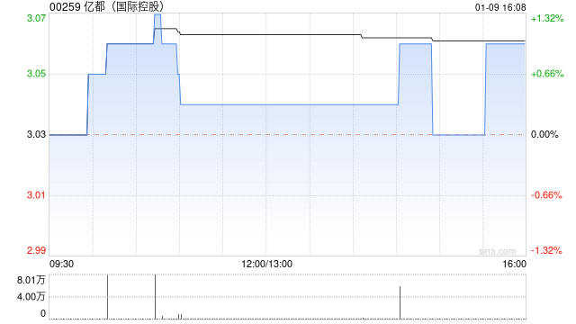 亿都(国际控股)1月9日斥资约25.06万港元回购8.2万股